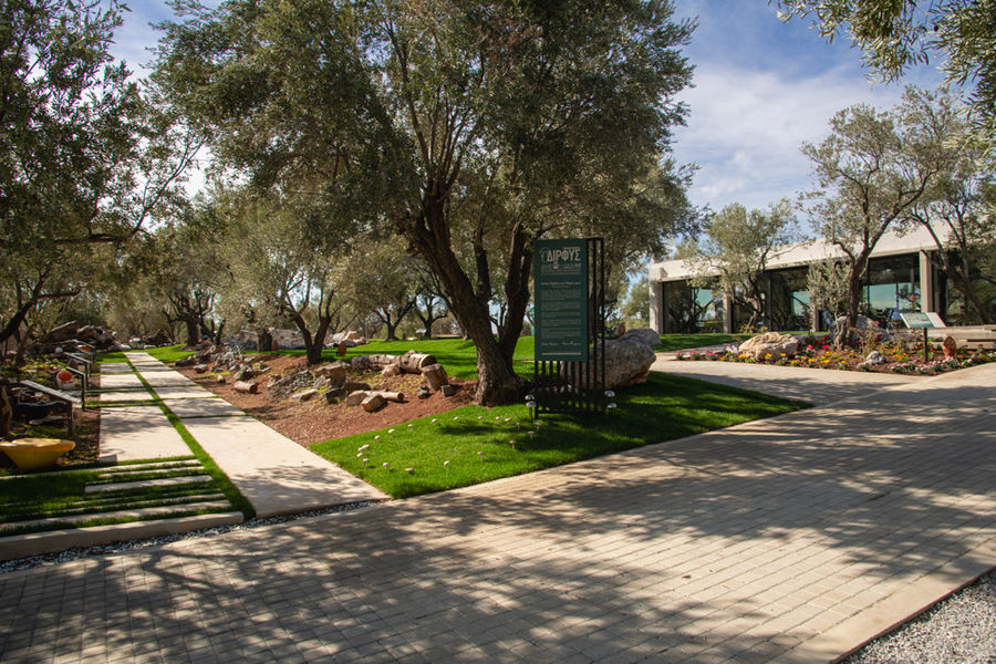 dirfis_manitaria_12 (1).jpg